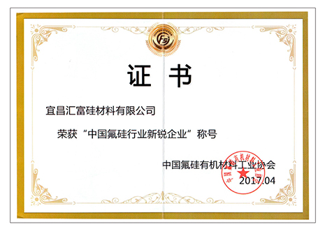 中國氟硅行業(yè)新銳企業(yè)