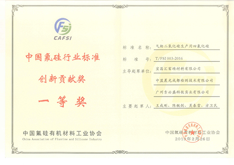 中國氟硅行業(yè)標準創(chuàng)新貢獻獎一等獎 